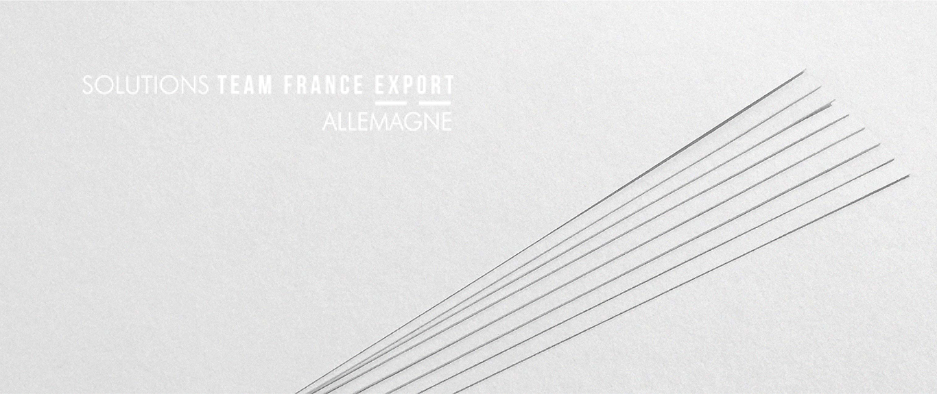 Team France Export ernennt Qivive zu Vertrauensanwälten